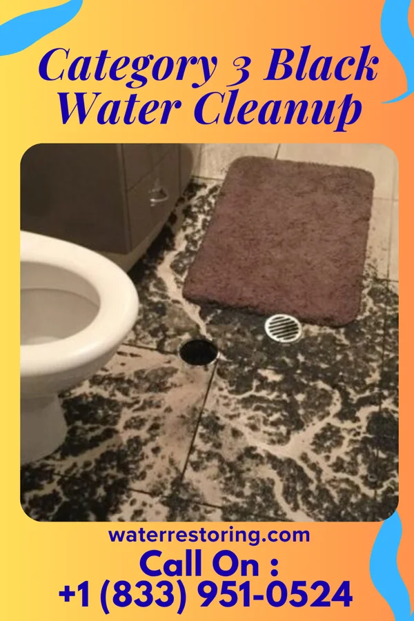 Category 3 Black Water Cleanup in Waubay, SD