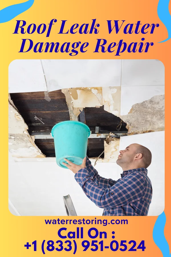 Roof Leak Water Damage Repair in Waubay, SD